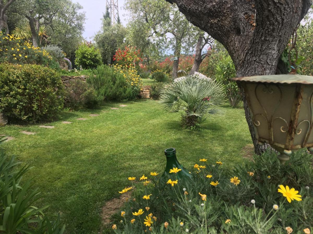 Casa Di Jo Villa Imperia Dış mekan fotoğraf